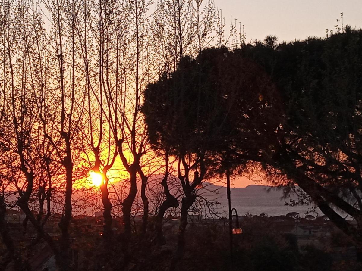 Il Platano Bed and Breakfast Πιάνο ντι Σορέντο Εξωτερικό φωτογραφία