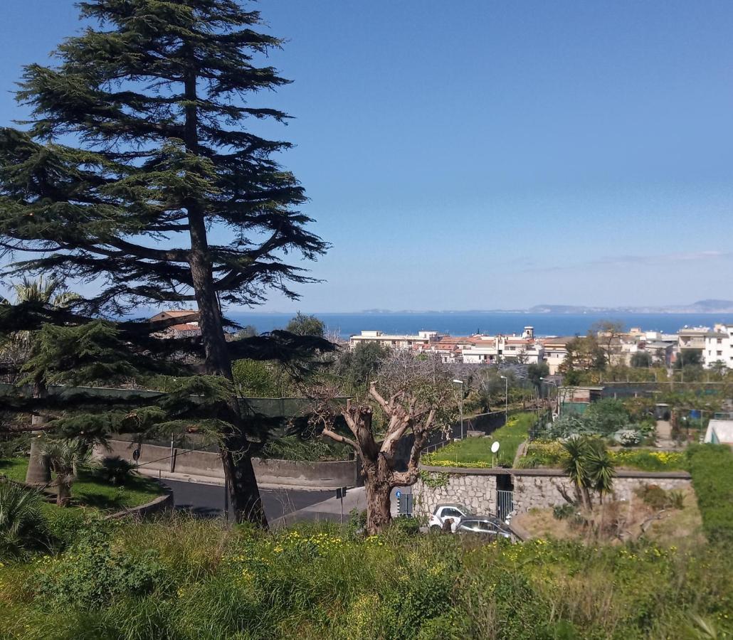 Il Platano Bed and Breakfast Πιάνο ντι Σορέντο Εξωτερικό φωτογραφία