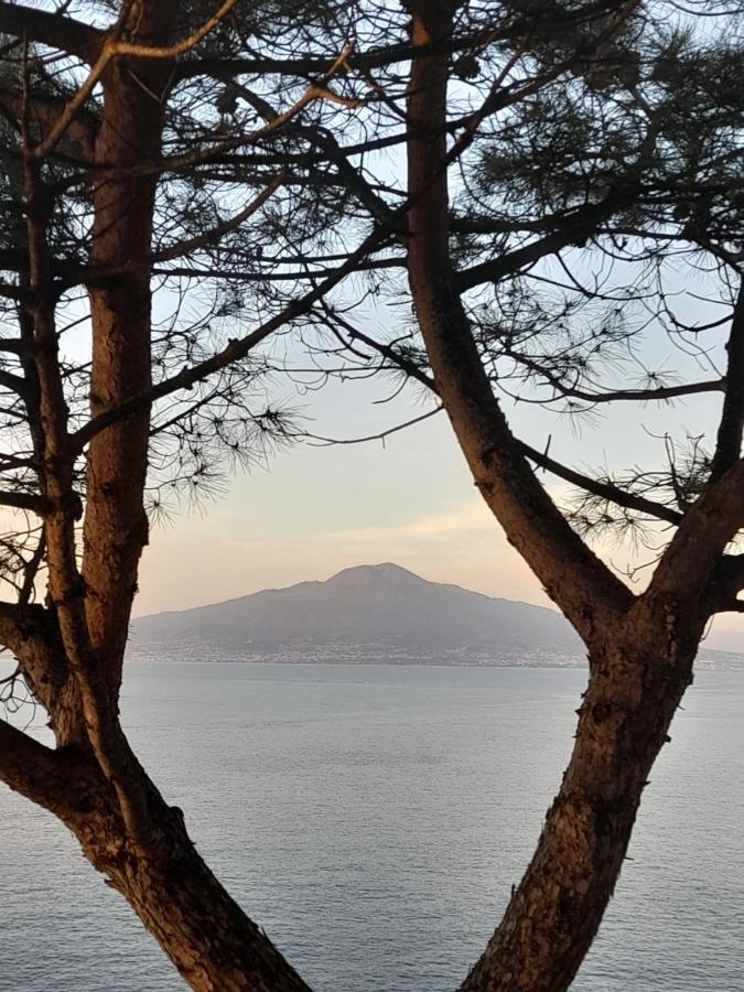 Il Platano Bed and Breakfast Πιάνο ντι Σορέντο Εξωτερικό φωτογραφία