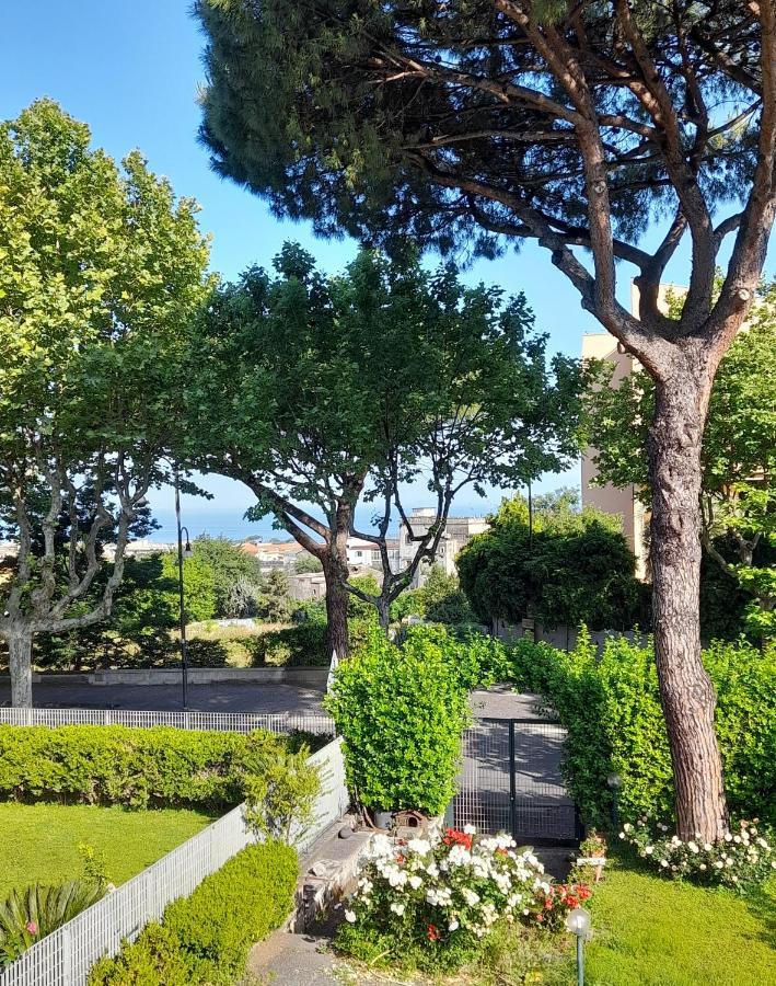 Il Platano Bed and Breakfast Πιάνο ντι Σορέντο Εξωτερικό φωτογραφία
