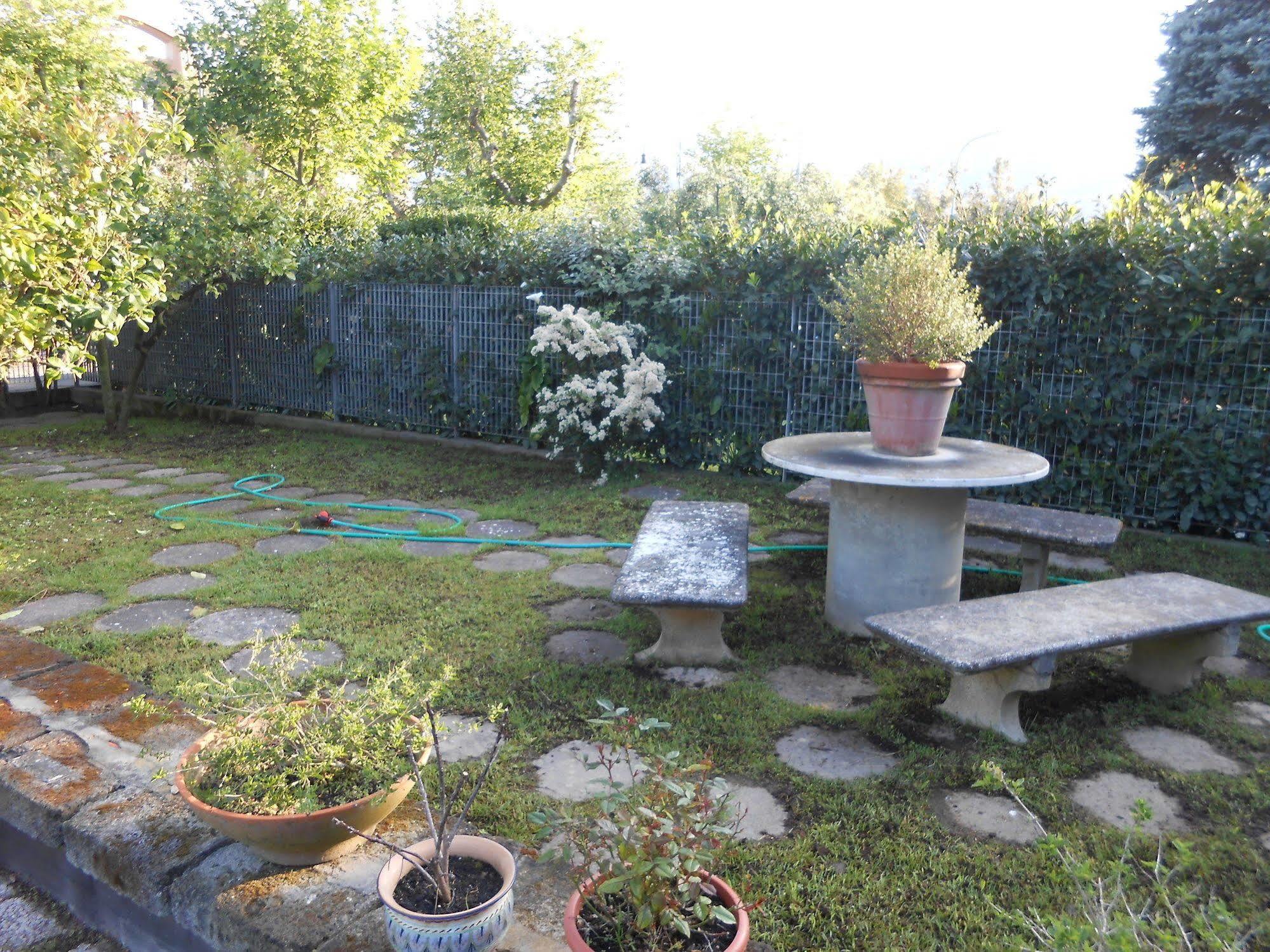 Il Platano Bed and Breakfast Πιάνο ντι Σορέντο Εξωτερικό φωτογραφία